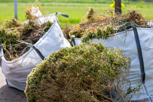 Best Shed Removal  in Woodville, MS